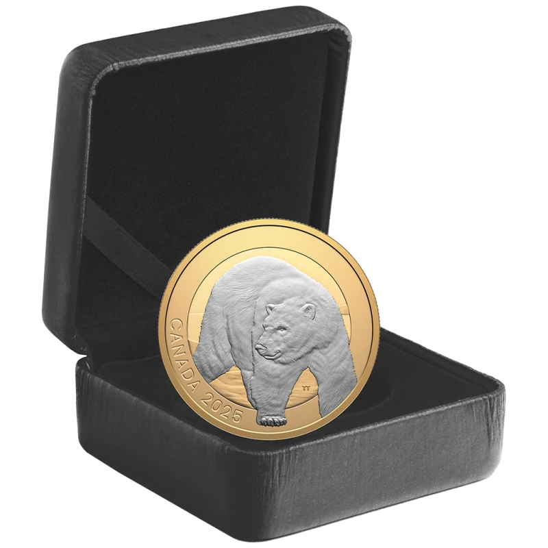 Canada: silver coin Polar bear 2025 Proof gilded 1 oz Collectible coins