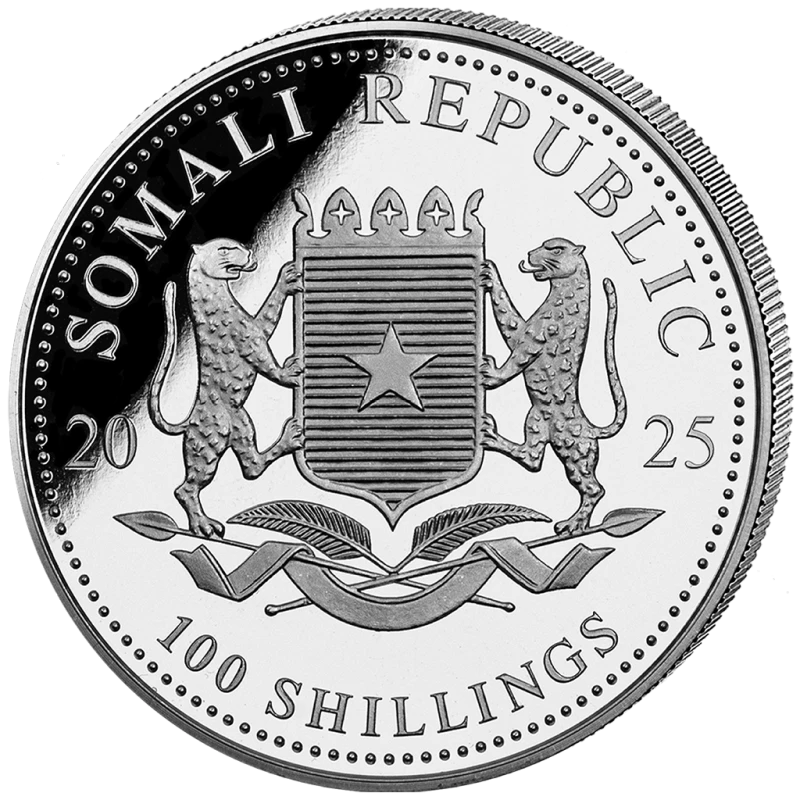 Somalie Pièce en argent Faune africaine Léopard 2025 Doré 1 once Pièces de collection