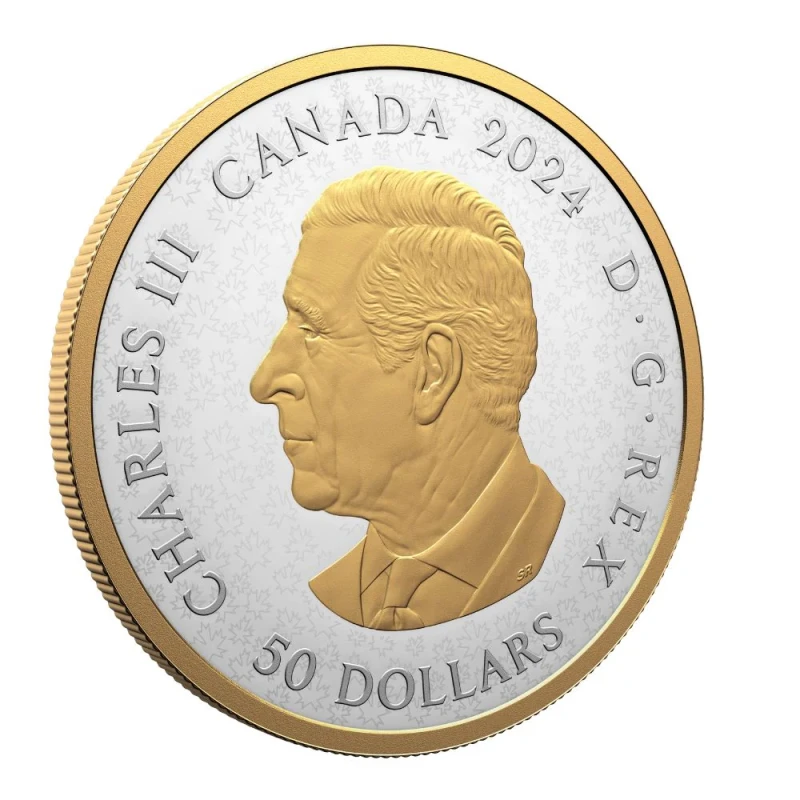 Canada : pièce d'argent Oiseaux du Canada 2024 Belle Épreuve dorée 5 Once Pièces de collection