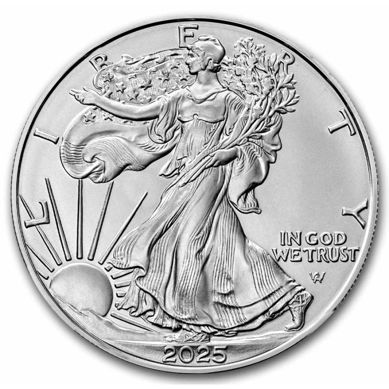 Monnaie d'investissement argent USA American Eagle Type 2 31.1 g Pièces d'investissement