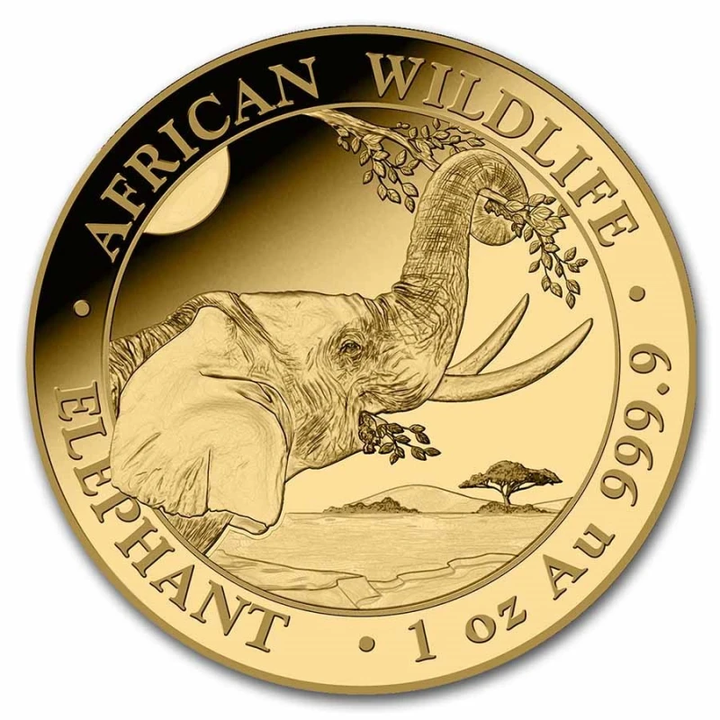 Somalie : pièce d'or Éléphant 2023 1 once Pièces de collection