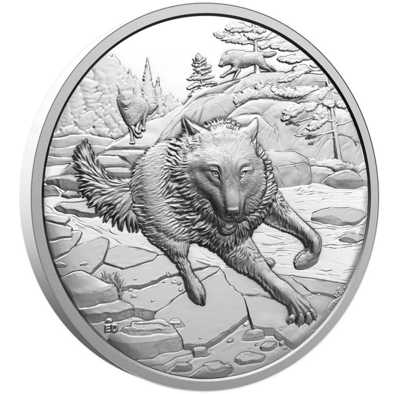 Canada : pièce en argent Loup gris 2025 Belle Épreuve 1 once Pièces de collection