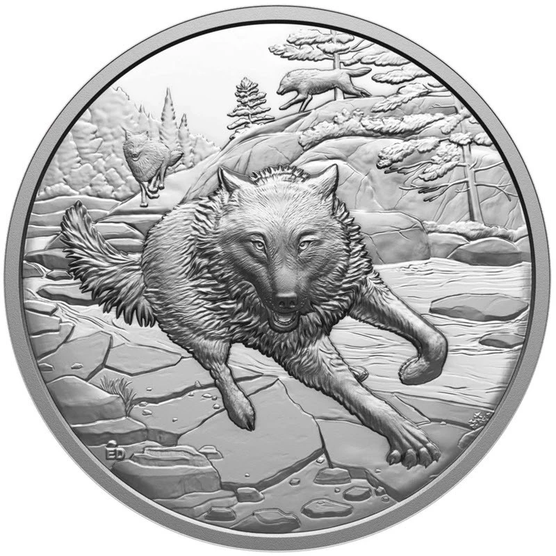 Canada : pièce en argent Loup gris 2025 Belle Épreuve 1 once Pièces de collection