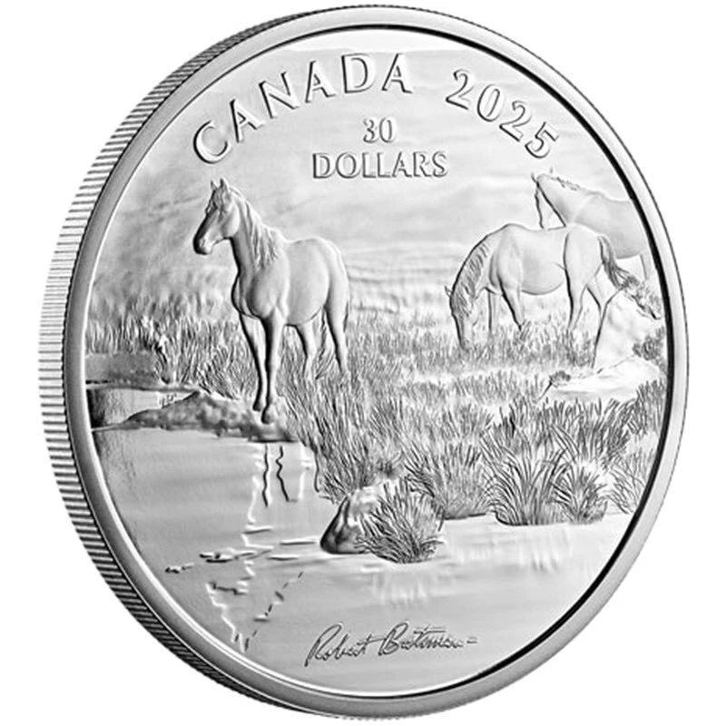 Canada: silver coin Mustang Country 2025 Proof 2 oz Collectible coins