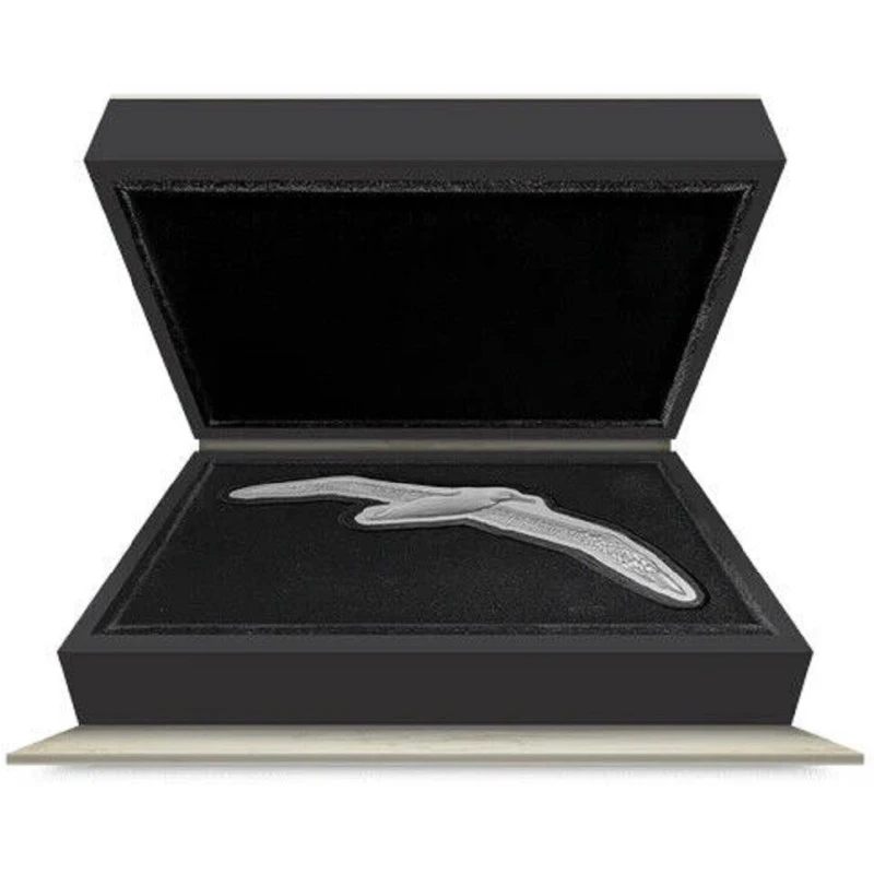 Niue : pièce en argent Wandering Albatross 2023 Belle Épreuve 2 Once Pièces de collection