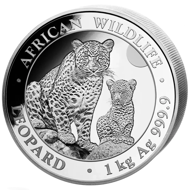 Somalie Pièce d'argent faune africaine léopard 2024 1000 g Pièces de collection