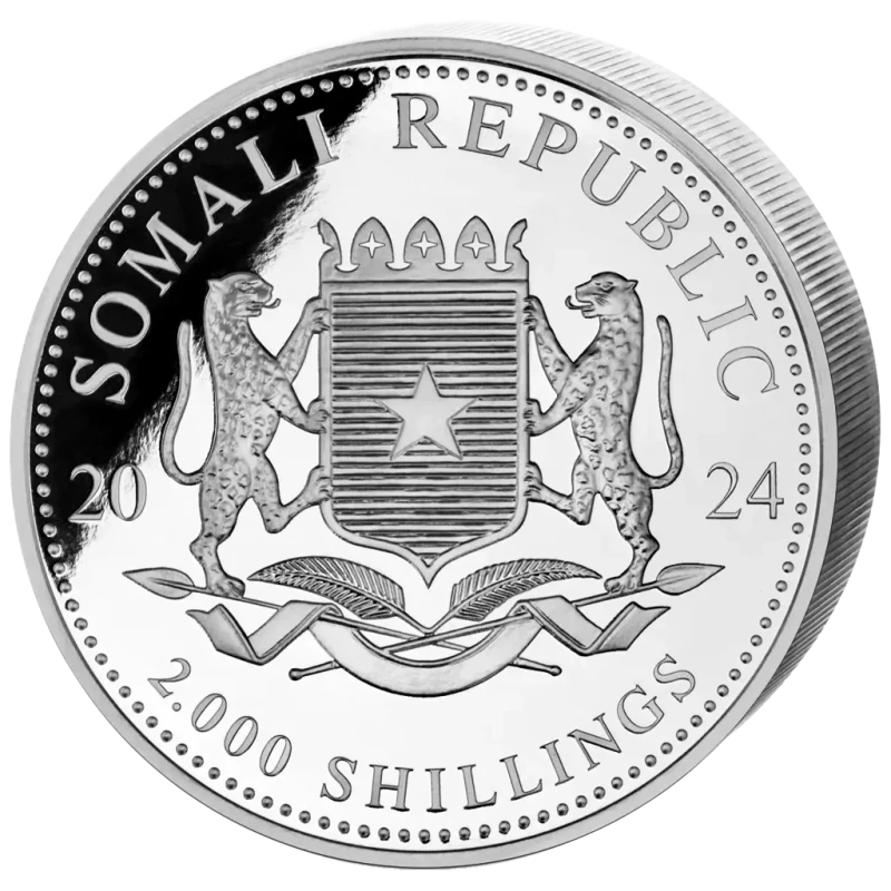 Somalie Pièce d'argent faune africaine léopard 2024 1000 g Pièces de collection