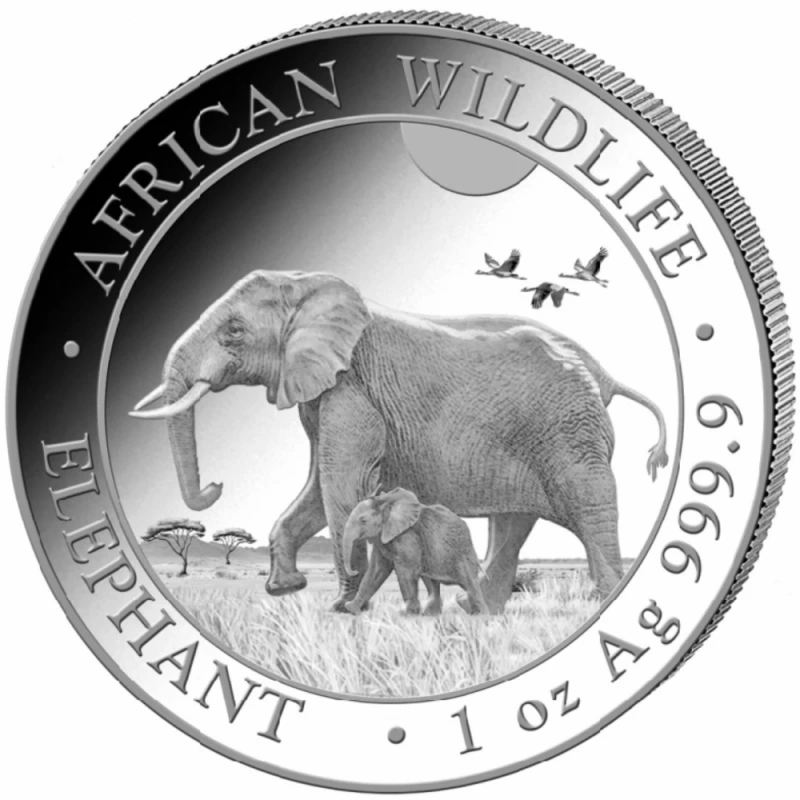 Somalie Pièce d'investissement en argent Faune et flore d'Afrique Éléphant 2022 1 once Pièces d'investissement