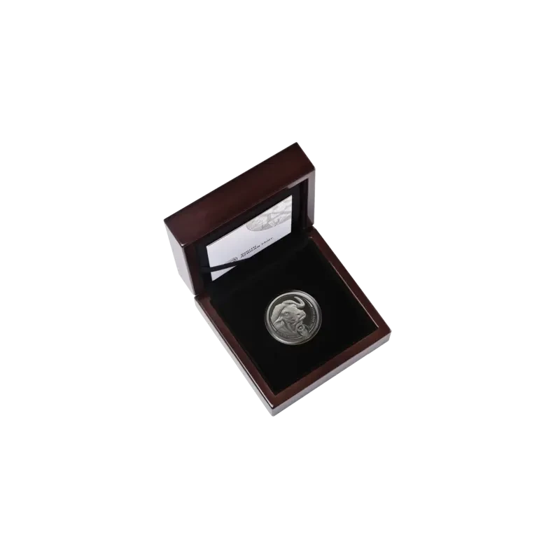 South Africa Platinum Coin Buffalo 2023 Proof 1 oz Collectible coins