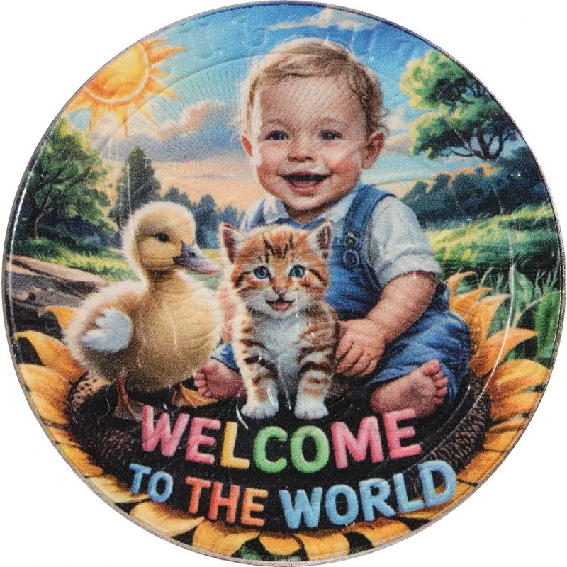 Arménie Pièce d'argent Arche de Noé Bébé garçon 2025 colorée 1 once Pièces de collection