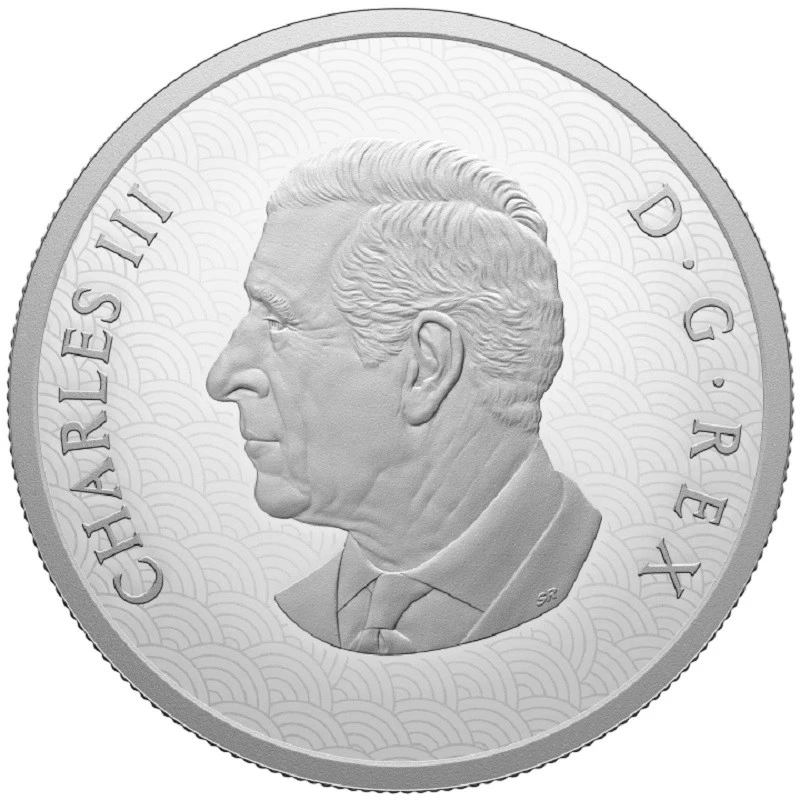 Pièce d'argent Canada Année du serpent 2025 Belle Épreuve 1 once Pièces de collection